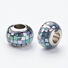 304 Stainless Steel Resin European Beads RPDL-P002-A01-1