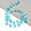 Dyed Natural Amazonite Beads Strands G-Q167-A11-02-2