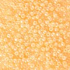 (Repacking Service Available) Glass Seed Beads SEED-C020-4mm-142-2