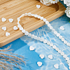2 Strands 2 Styles Natural Freshwater Shell Beads Strands SHEL-FH0001-26-4