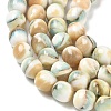 Natural Seashell Shell Beads Strands SH-CBAFEDD-01A-2