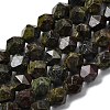 Natural Dragon Blood Beads Strands G-Z119-A17-03-3