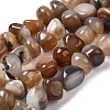 Natural Agate Beads Strands G-H295-B01-02-2