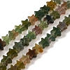 Natural Indian Agate Beads Strands G-G085-B11-02-1