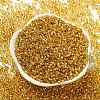 Glass Seed Beads X1-SEED-S042-04A-12-2