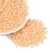 FGB Glass Seed Beads SEED-Q040-08A-06-1