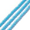 Faceted(32 Facets) Glass Beads Strands EGLA-J042-36A-04-1