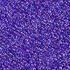 12/0 FGB Grade A Round Glass Seed Beads SEED-N001-E-445-2