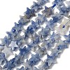 Natural Blue Spot Jasper Beads Strands G-F817-A12-01-3