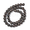 Natural Labradorite Beads Strands G-G0003-C03-12mm-3