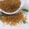 MIYUKI Delica Beads X-SEED-J020-DB0065-1