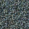 MIYUKI Round Rocailles Beads X-SEED-G007-RR1021-3