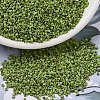 MIYUKI Delica Beads SEED-MY11-DB2265-1