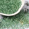6/0 Transparent Inside Colours Glass Seed Beads SEED-P006-01A-03-1