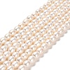 Natural Cultured Freshwater Pearl Beads Strands PEAR-E016-197-1