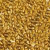 FGB Transparent Glass Seed Beads SEED-N013-01A-08-3