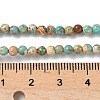 Dyed Natural Regalite/Imperial Jasper/Sea Sediment Jasper Beads Strands G-B124-C05-06-2