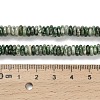 Natural Green Spot Jasper Beads Strands G-Q159-B35-01-5