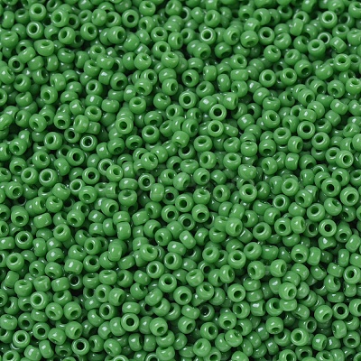 MIYUKI Round Rocailles Beads X-SEED-G007-RR0411-1