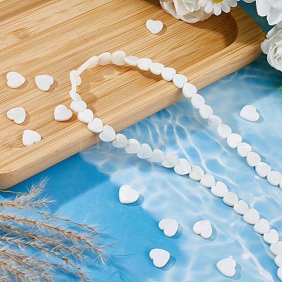 2 Strands 2 Styles Natural Freshwater Shell Beads Strands SHEL-FH0001-26-1
