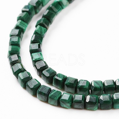 Natural Malachite Beads Strands G-C009-B24-1