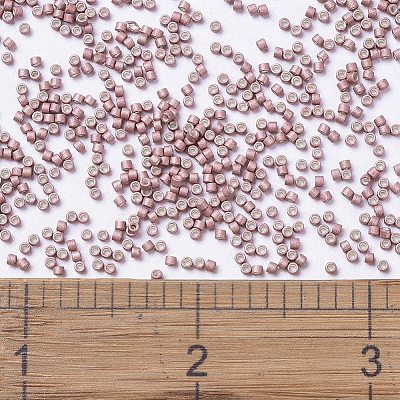 MIYUKI Delica Beads LS-SEED-J020-DB1166-1