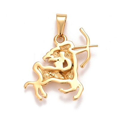 Ion Plating(IP) 304 Stainless Steel Pendants X-STAS-D165-14G-02-1