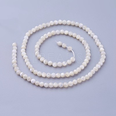 Shell Beads Strands G-F619-27-3mm-1