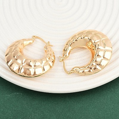Brass Hoop Earrings EJEW-H168-07G-1