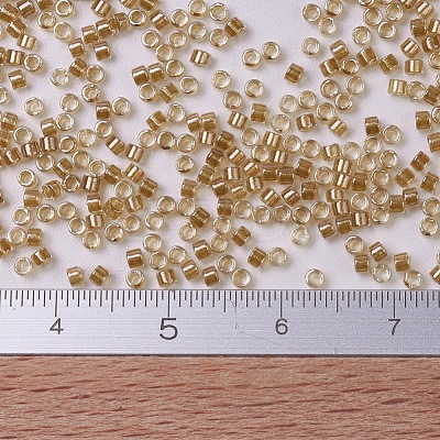 MIYUKI Delica Beads SEED-X0054-DB0901-1