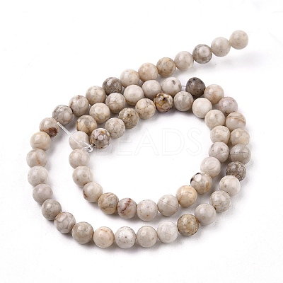 Natural Maifanite/Maifan Stone Beads Strands G-I187-6mm-01-1