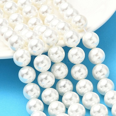 Shell Pearl Beads Strands BSHE-K015-10mm-04-1