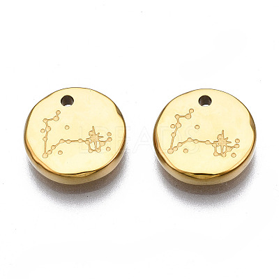 316 Surgical Stainless Steel Charms STAS-S116-418L-G-1