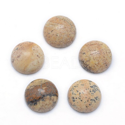 Natural Picture Jasper Cabochons G-P393-R51-12MM-1