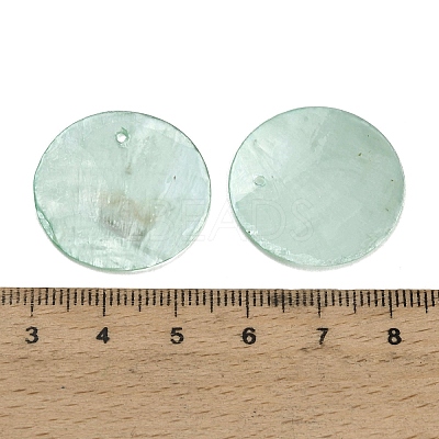 Spray Painted Natural Capiz Shell Pendants SHEL-C010-12B-1