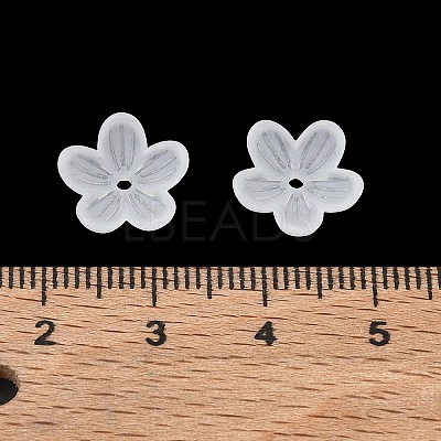Acrylic Frosted Bead Caps AC-CBA81FF-02A-1