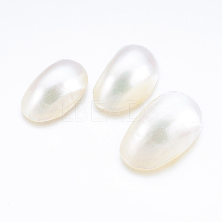 Natural White Shell Mother of Pearl Shell Cabochons SSHEL-P014-01A-1