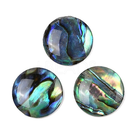 Natural Paua Shell Cabochons SSHEL-I026-20B-1