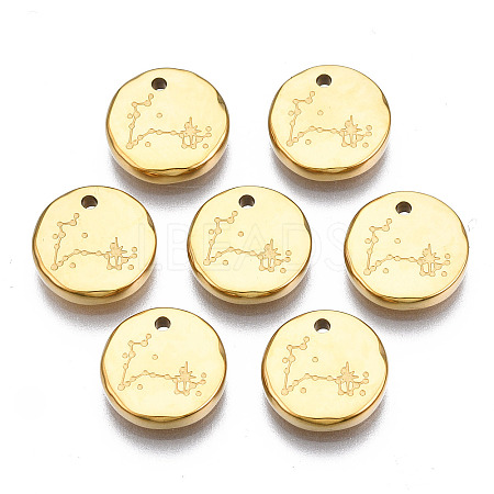 316 Surgical Stainless Steel Charms STAS-S116-418L-G-1