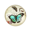 Butterfly Printed Glass Half Round/Dome Cabochons GGLA-N004-14mm-C-2