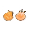 Electroplate Natural Scallop Shell Pendants SSHEL-Q100-20KCG-2
