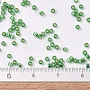 MIYUKI Delica Beads SEED-X0054-DB0046-4