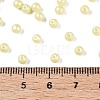 Glass Seed Beads SEED-T007-01J-4