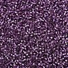 MIYUKI Delica Beads SEED-X0054-DB2169-3