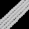 Transparent Glass Beads Strands LS-EGLA-A044-T3mm-MD19-1