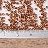 MIYUKI Delica Beads SEED-MY11-DB1736-4