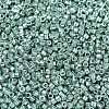 MIYUKI Delica Beads X-SEED-J020-DB0415-3