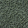 MIYUKI Round Rocailles Beads SEED-G007-RR0501-3