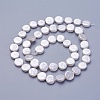 Shell Pearl Beads Strands X-BSHE-P030-01A-1