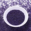 MIYUKI Delica Beads SEED-X0054-DB0609-2